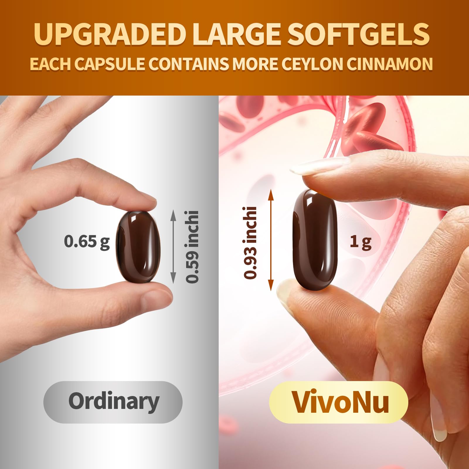 VivoNu gráfico de extracto liposomal explicando mejor biodisponibilidad