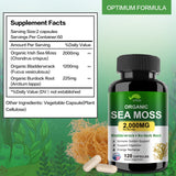 VPKIN cápsula abierta mostrando polvo interior y absorción mejorada