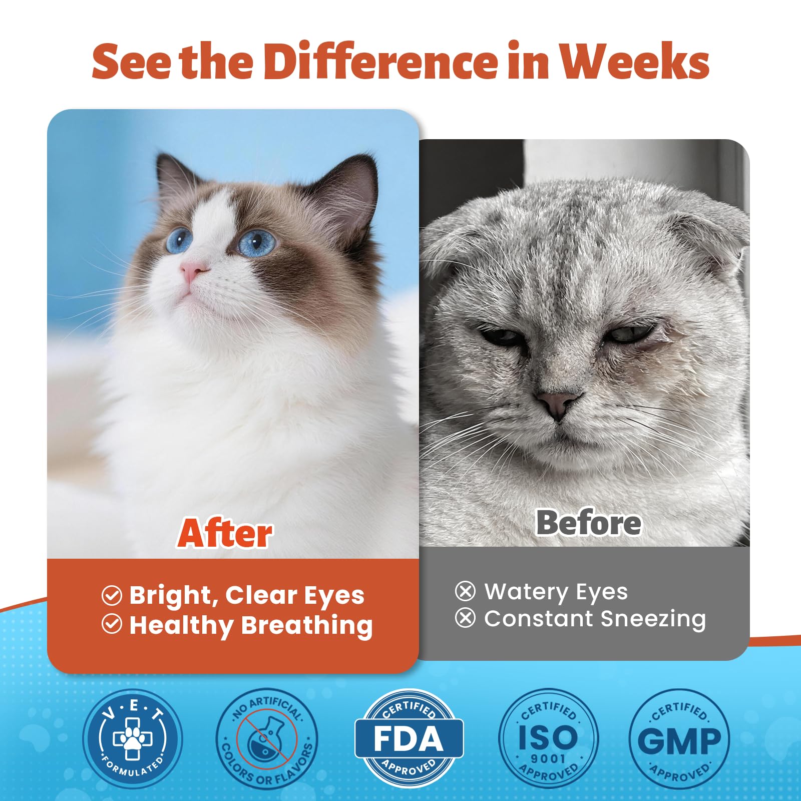VUN frasco 60 ml con etiqueta visible y composición apta para gatos