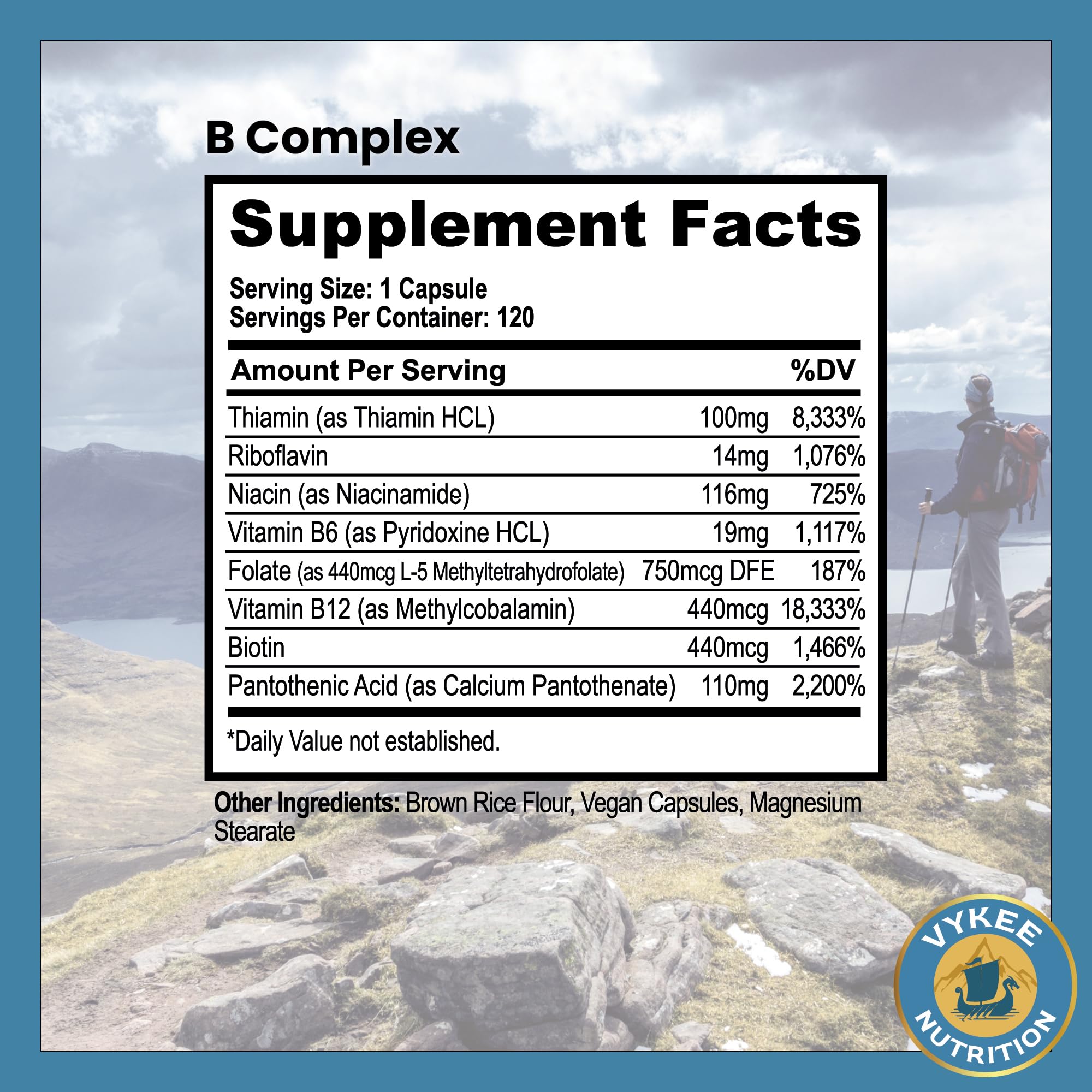 Vykee Nutrition sello GMP y texto que indica fabricación controlada