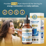 Vykee Nutrition frasco en mano mostrando escala y conveniencia para viajes