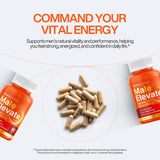 Vynora Nutrition producto en gimnasio transmitiendo vigor y enfoque