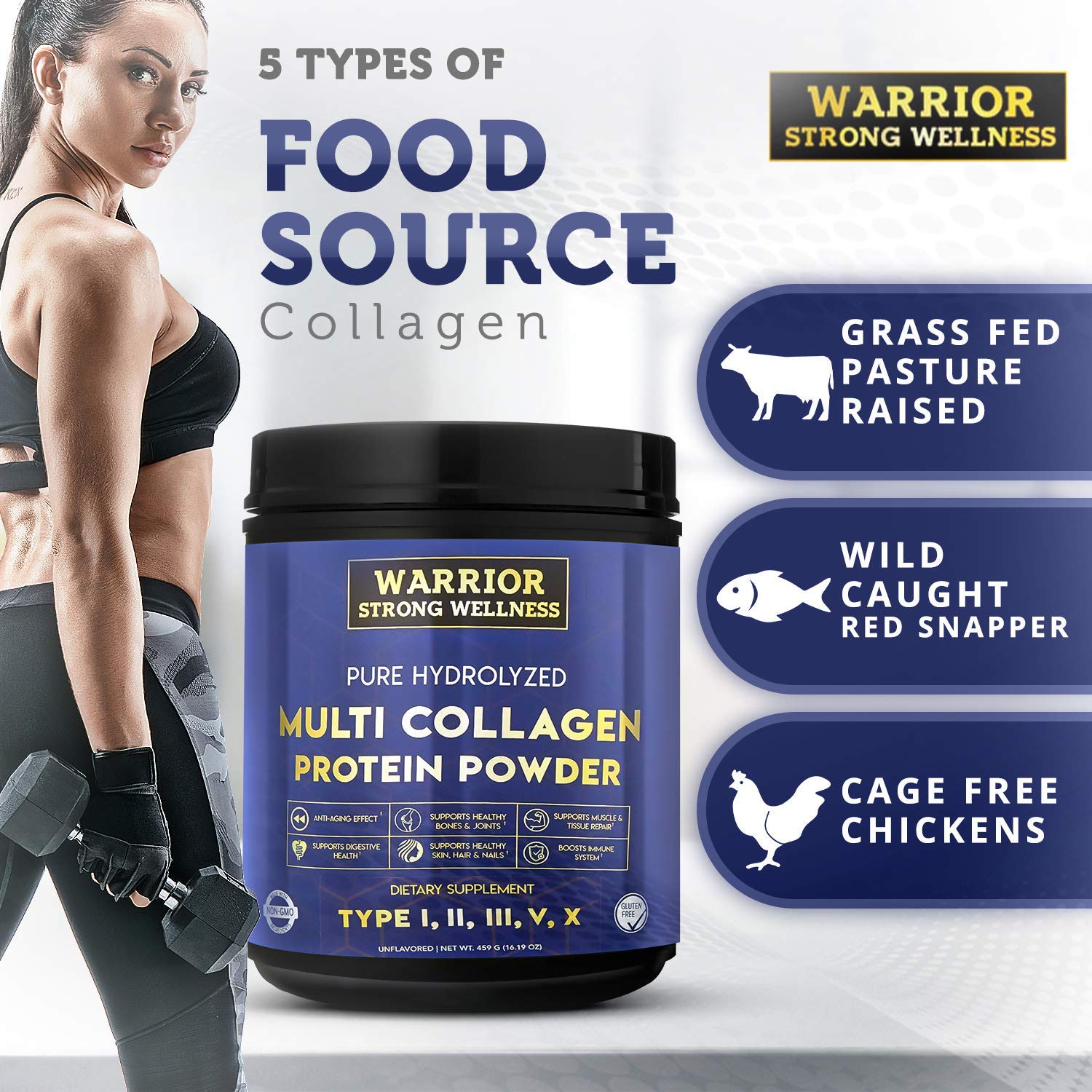 Warrior Strong Wellness fuentes de colágeno (vaca, pollo, pescado) ilustradas para ver variedad de ingredientes