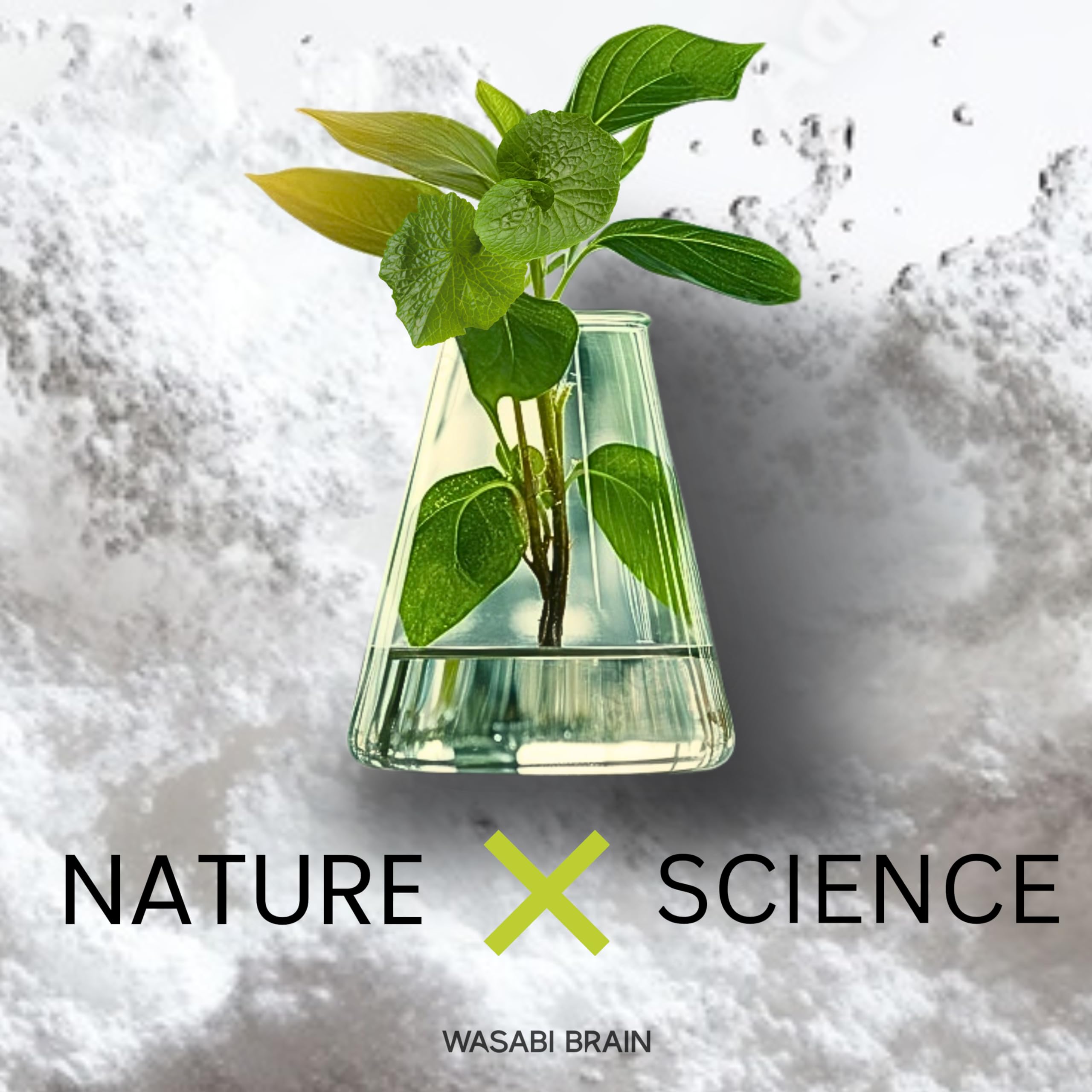 WASABI BRAIN botella reciclable destacando menor uso de PET y sostenibilidad