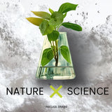 WASABI BRAIN botella reciclable destacando menor uso de PET y sostenibilidad