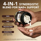 WBSQL ingredientes naturales resveratrol y TMG representando apoyo celular
