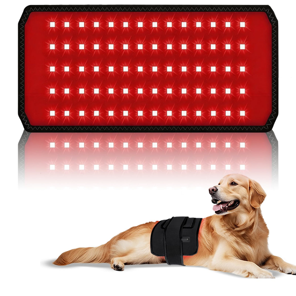 WDIBUN cinturón frontal empaquetado mostrando 70 LEDs y beneficios de uso portátil