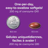 Webber Naturals cápsula junto a una regla para comparar tamaño y toma única