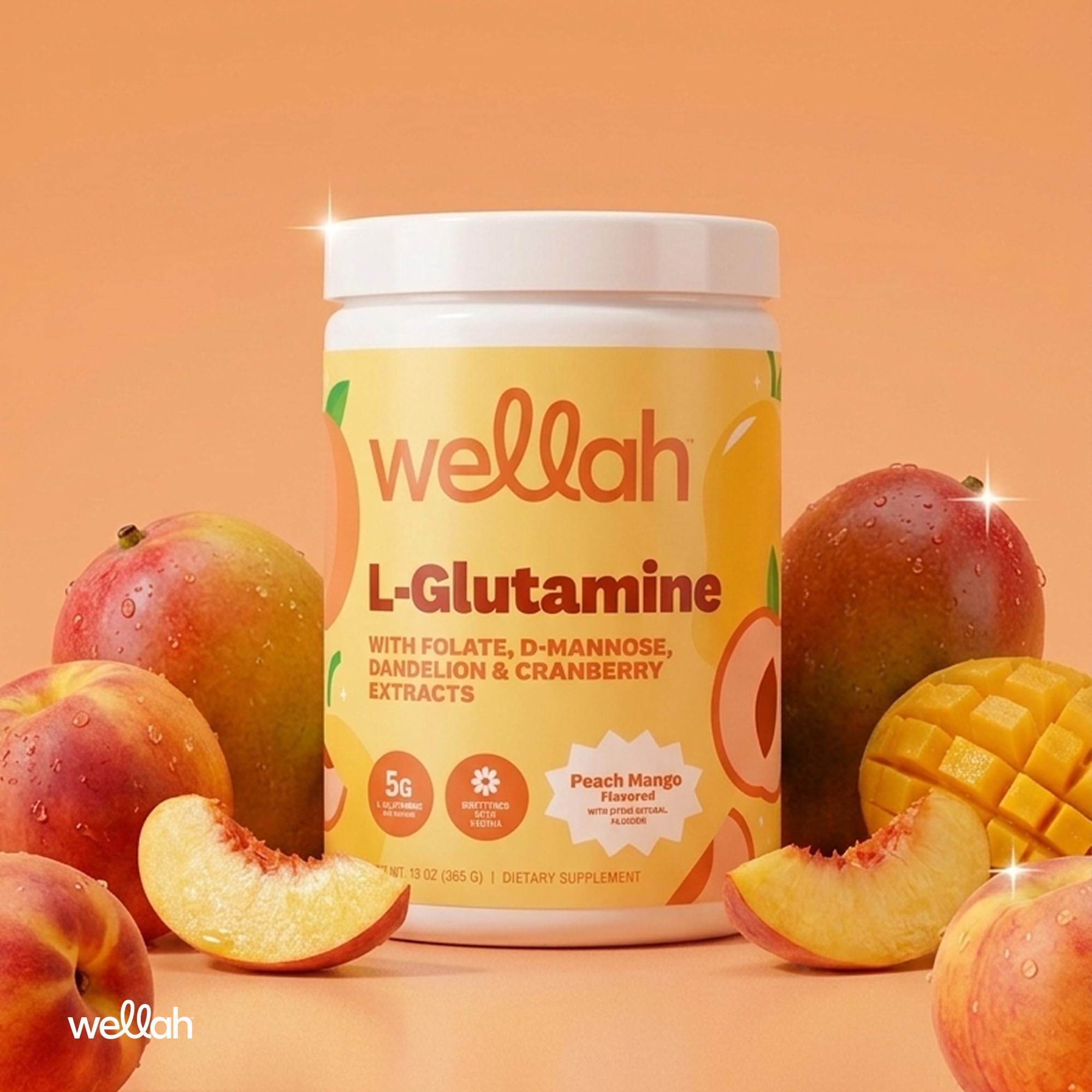 Wellah ingredientes listados en etiqueta, destaca folato y extractos botánicos