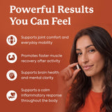 Wellanova cápsulas en platillo para visualizar la dosis diaria recomendada
