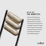 WELLBEL primer plano de saw palmetto ilustrando su origen vegetal