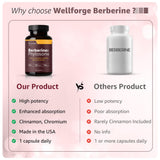 WellForge mano sosteniendo cápsula para demostrar tamaño y toma simple