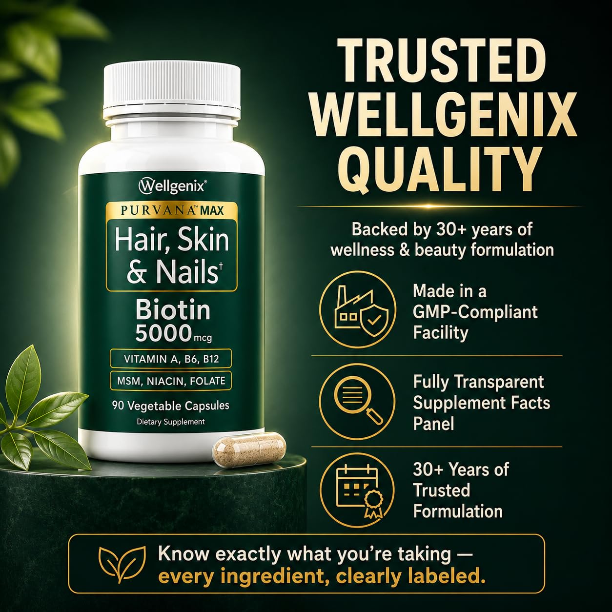 Wellgenix Purvana MAX ingredientes activos como biotina y MSM visibles