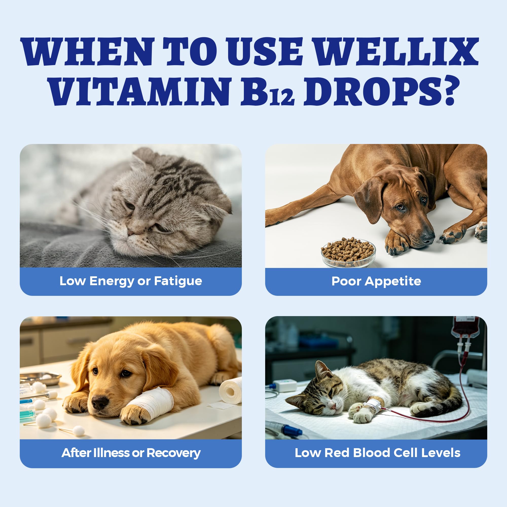 Wellix gotas vertidas sobre alimento para mejorar aceptación del perro o gato
