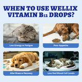 Wellix gotas vertidas sobre alimento para mejorar aceptación del perro o gato