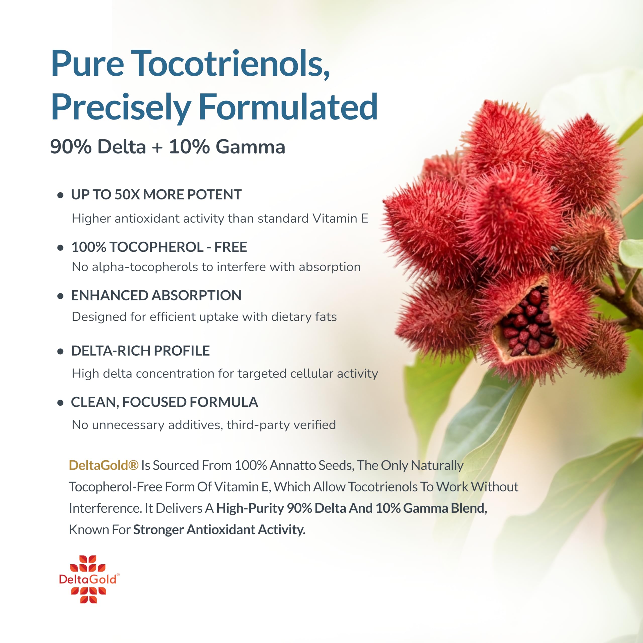 WELLNESS EXTRACT varias cápsulas en la mano destacando tamaño y conveniencia