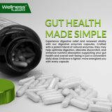 WELLNESS LABSRX cápsula en mano para comparar tamaño y facilidad de ingesta