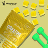 WELLNESS LABSRX caja y contenido organizado mostrando 30 porciones fáciles
