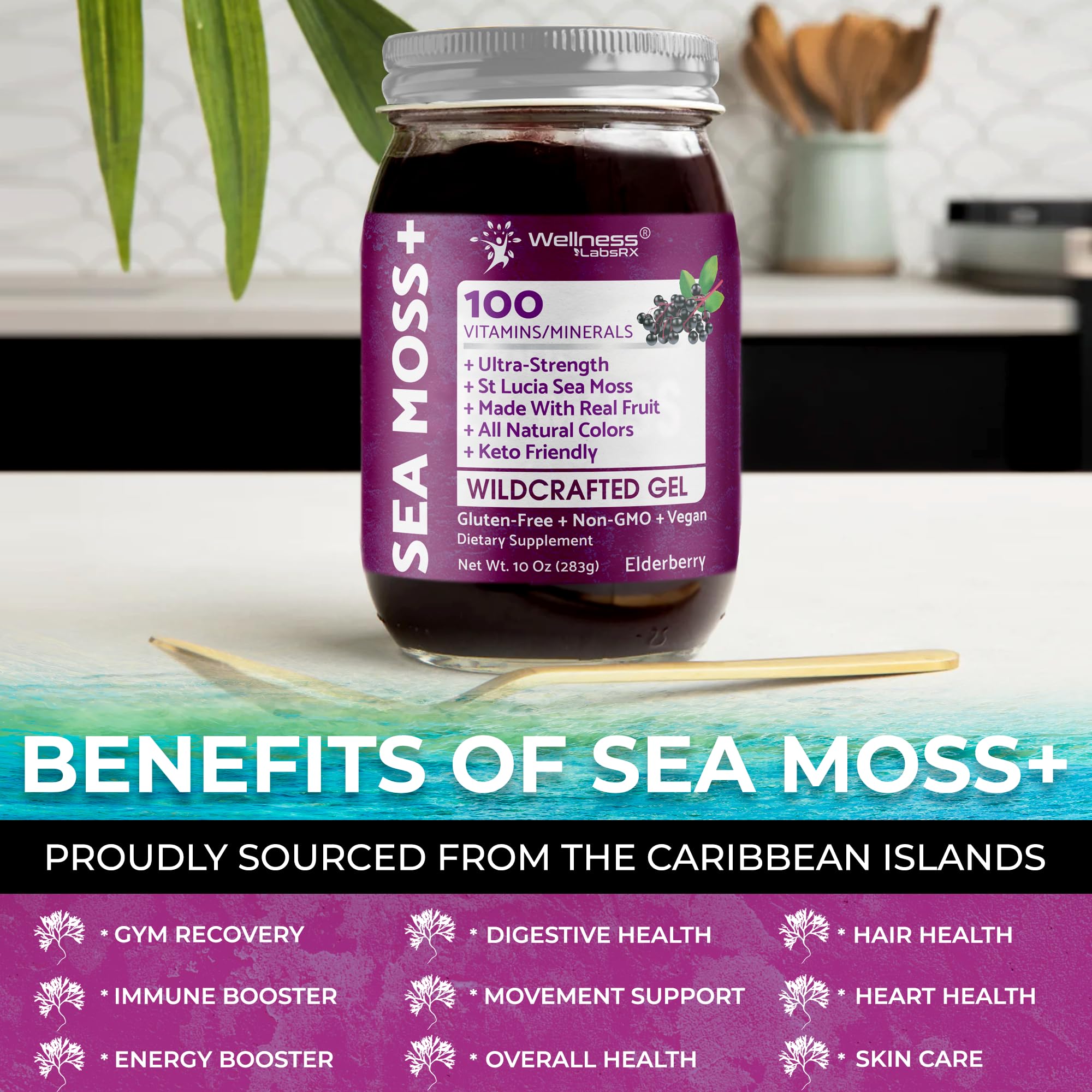 WELLNESS LABSRX primer plano de algas y saúco, ventaja ingredientes naturales visibles