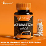 WELLNESS LABSRX etiqueta detallada con ingredientes y concentraciones