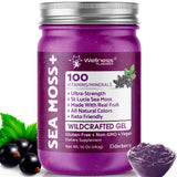 WELLNESS LABSRX frasco frontal mostrando etiqueta y formato 10 oz, beneficio practicidad