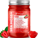WELLNESS LABSRX envase frontal mostrando gel de sea moss fresa, aspecto apetecible