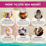 WELLNESS LABSRX ingredientes naturales del mar demostrando origen caribeño