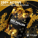 WELLNESS LABSRX detalle del color natural de los gránulos mostrando calidad orgánica