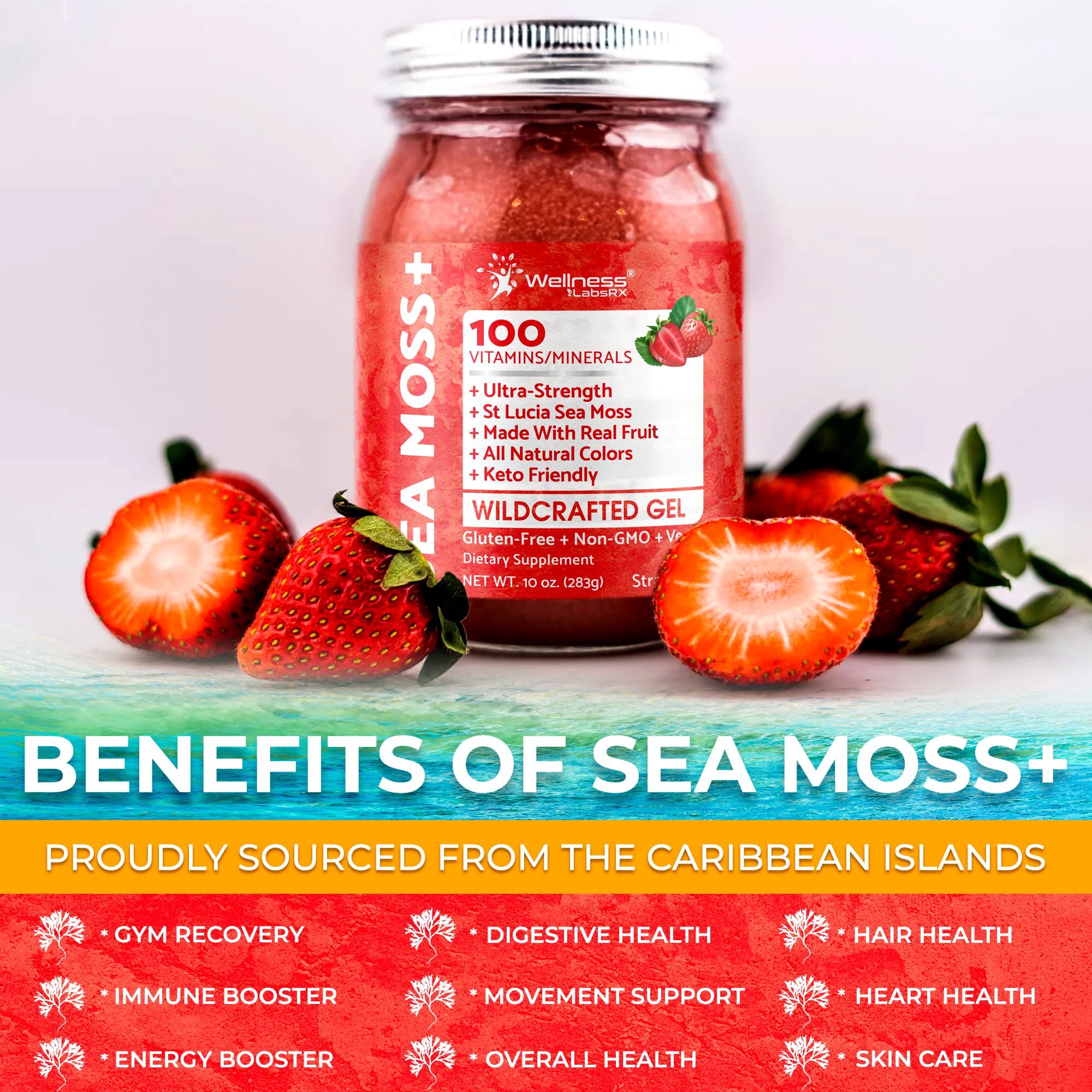 WELLNESS LABSRX seamoss crudo silvestre mostrando origen caribeño auténtico
