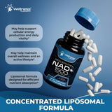 Wellness LABSRX imagen de textura liposomal para visualizar estabilidad del ingrediente