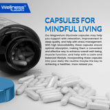 WELLNESS LABSRX polvo del contenido resaltando calidad y uniformidad