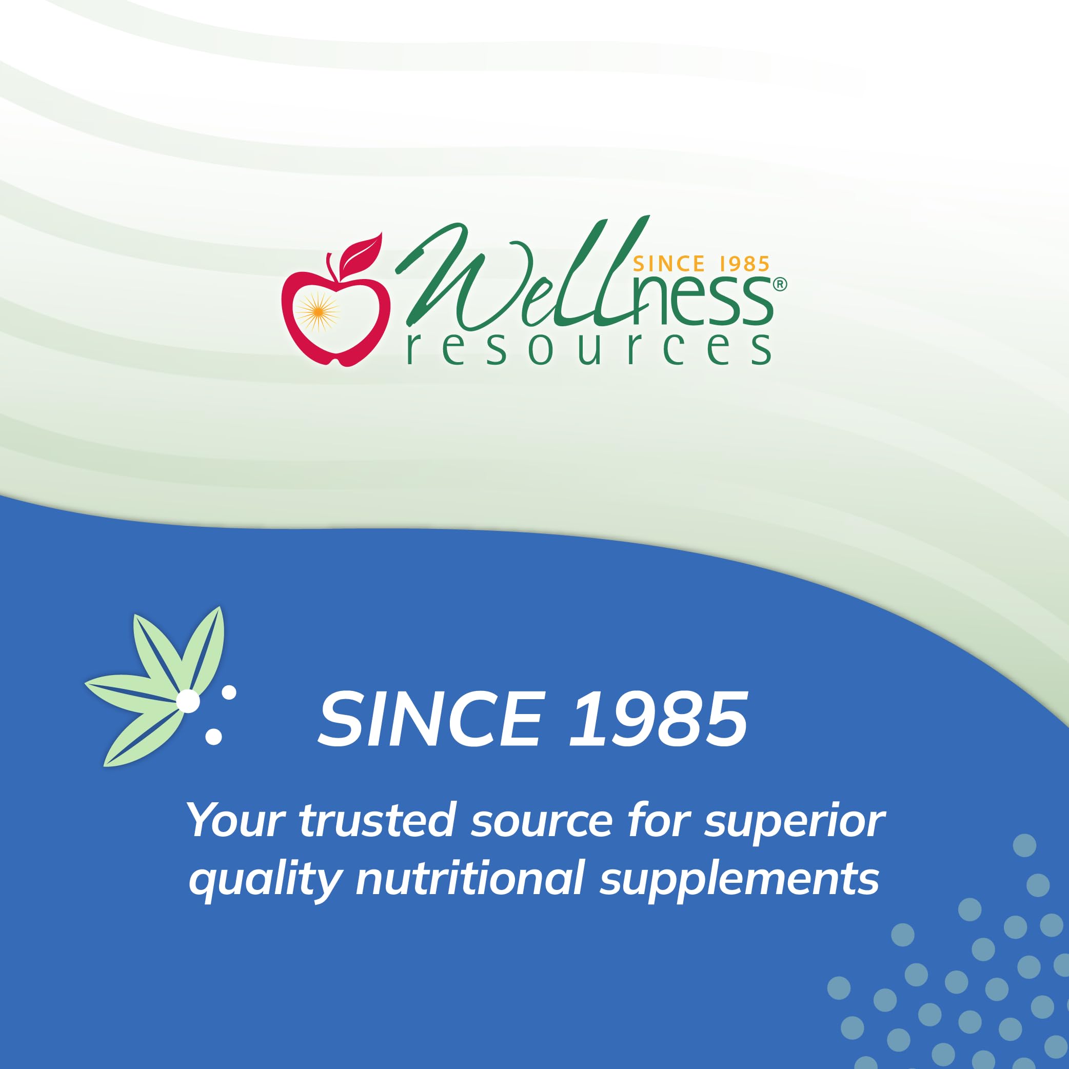 Wellness Resources cápsula en mano para comparar escala y facilidad de ingestión