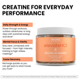 WellPath etiqueta nutricional enfatizando ingredientes y transparencia
