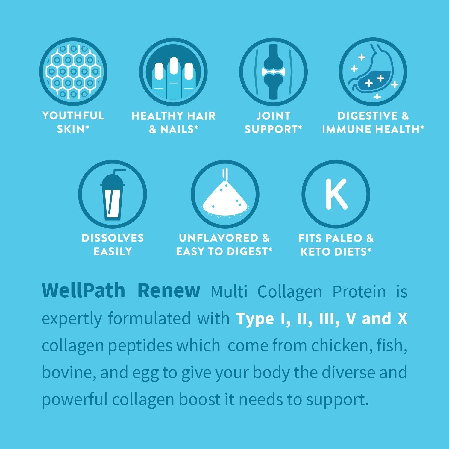 WellPath polvo integrado en batido, aporta proteínas y aminoácidos