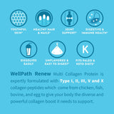 WellPath polvo integrado en batido, aporta proteínas y aminoácidos