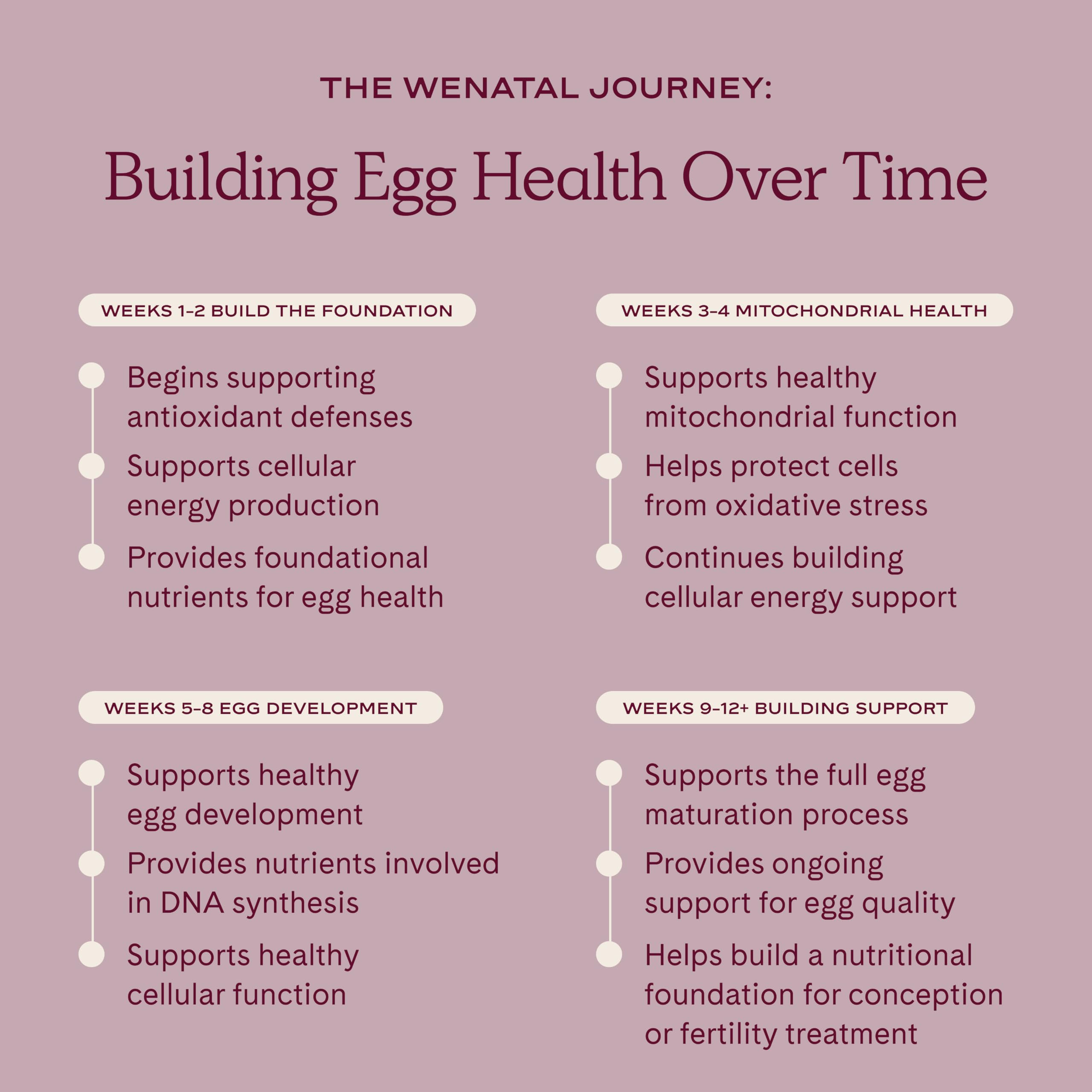 WeNatal escena lifestyle en entorno de fertilidad transmitiendo confianza