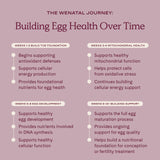 WeNatal escena lifestyle en entorno de fertilidad transmitiendo confianza
