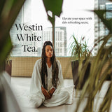 Westin difusor enchufado en salón ofreciendo ambiente acogedor