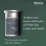 Detalle de textura de la cápsula Westin White Tea para instalación segura
