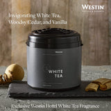 Westin difusor salida de aire textura demostrando difusión por aire seco y limpieza