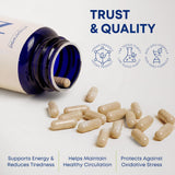 WHISPERWOOD integración matinal del producto para claridad mental y energía