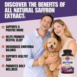 WHOLE WORLD WELLNESS textura en polvo que sugiere pureza y potencia