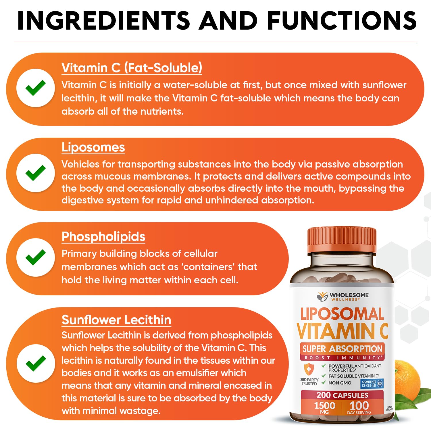 Wholesome Wellness cápsula en mano para comparar escala y tamaño real