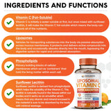 Wholesome Wellness cápsula en mano para comparar escala y tamaño real