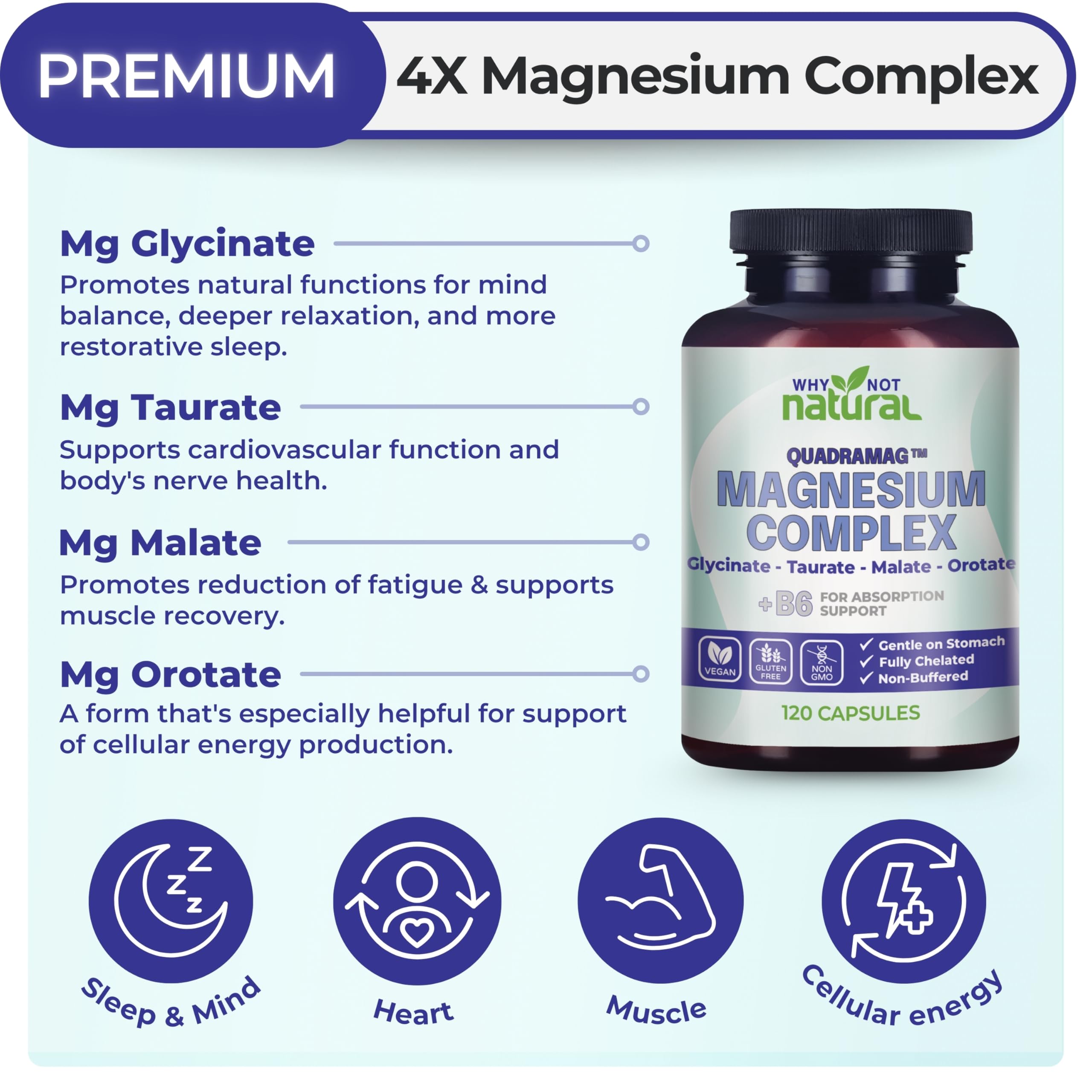 Why Not Natural etiqueta con cantidades de magnesio elemental y compuestos
