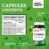 Wild & Organic cápsula abierta mostrando polvo de hoja de cilantro