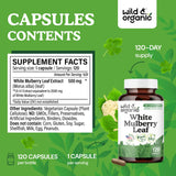 Wild & Organic cápsula en mano para comparar tamaño y comodidad diaria