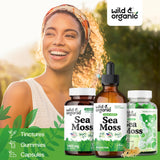 Wild & Organic primer plano de Irish seamoss y bladderwrack naturales