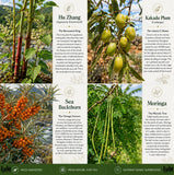 Wild Force etiqueta nutricional en primer plano para información clara