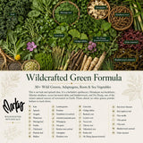 Wild Force producto junto a mano para comparar tamaño y porción práctica